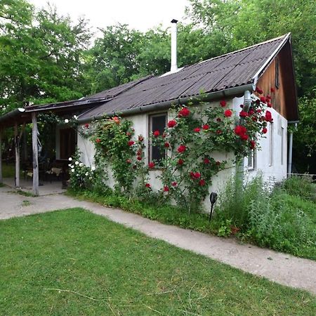 Igricz Farmhaz Villa Pocsmegyer Ngoại thất bức ảnh